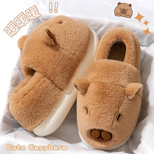 ��������ЬŮ���ﶬ���⴩2025�¿�����񌍱�ů�o������Ь����Ů