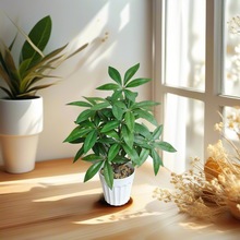 ����Gֲֲ������԰lؔ�主�F�~�[�����Wins�L�ҾӔ[�������b�