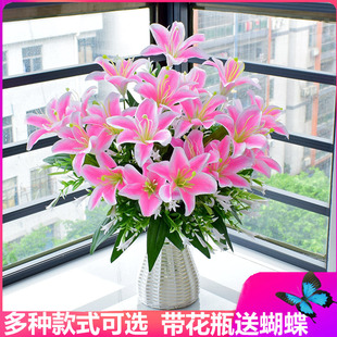 õ��ٺ����տ��ٻ����͏d���Ԕ[����ײ��������b����Ͻ���