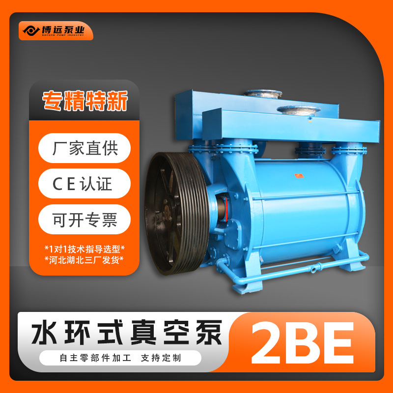 冀真2BE水环真空泵压缩机铸铁304造纸食品工业抽真空设备博远泵业