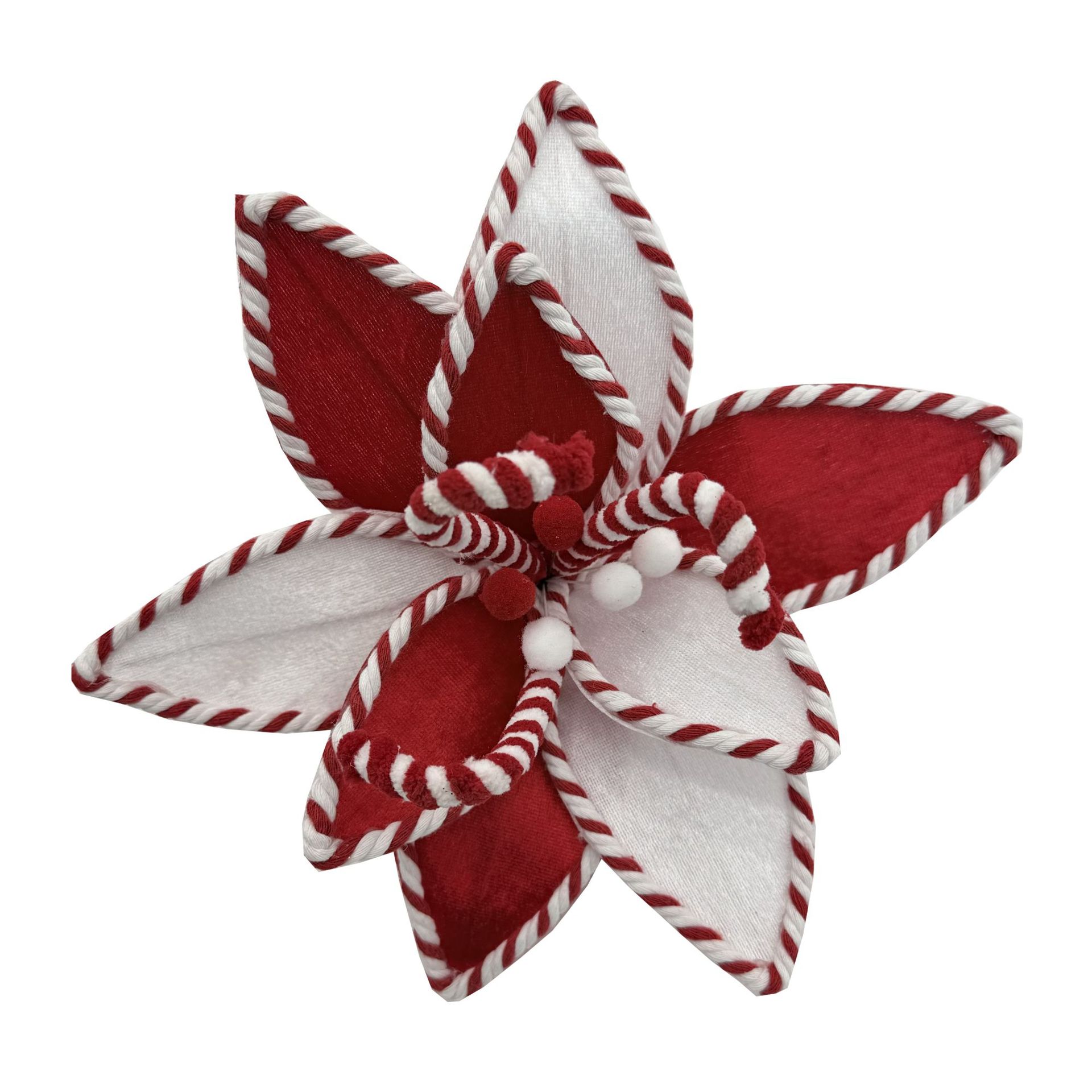 아홉 꽃잎의 꽃