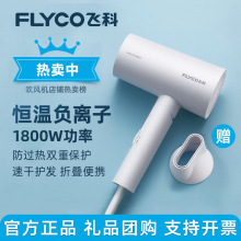 【官方正品】飞科吹风机家用负离子护发大风力电吹风筒大功率批发