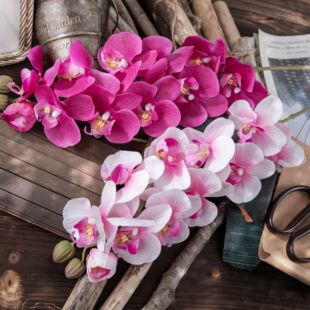 �ָ��^�z������m���滨�S�ҼҾ��b�c������õ�廨���ٻ�INS