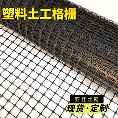 屯玉米网加厚土工格栅拦鸡养殖场塑料格栅圈地种植菜园圈玉米格栅