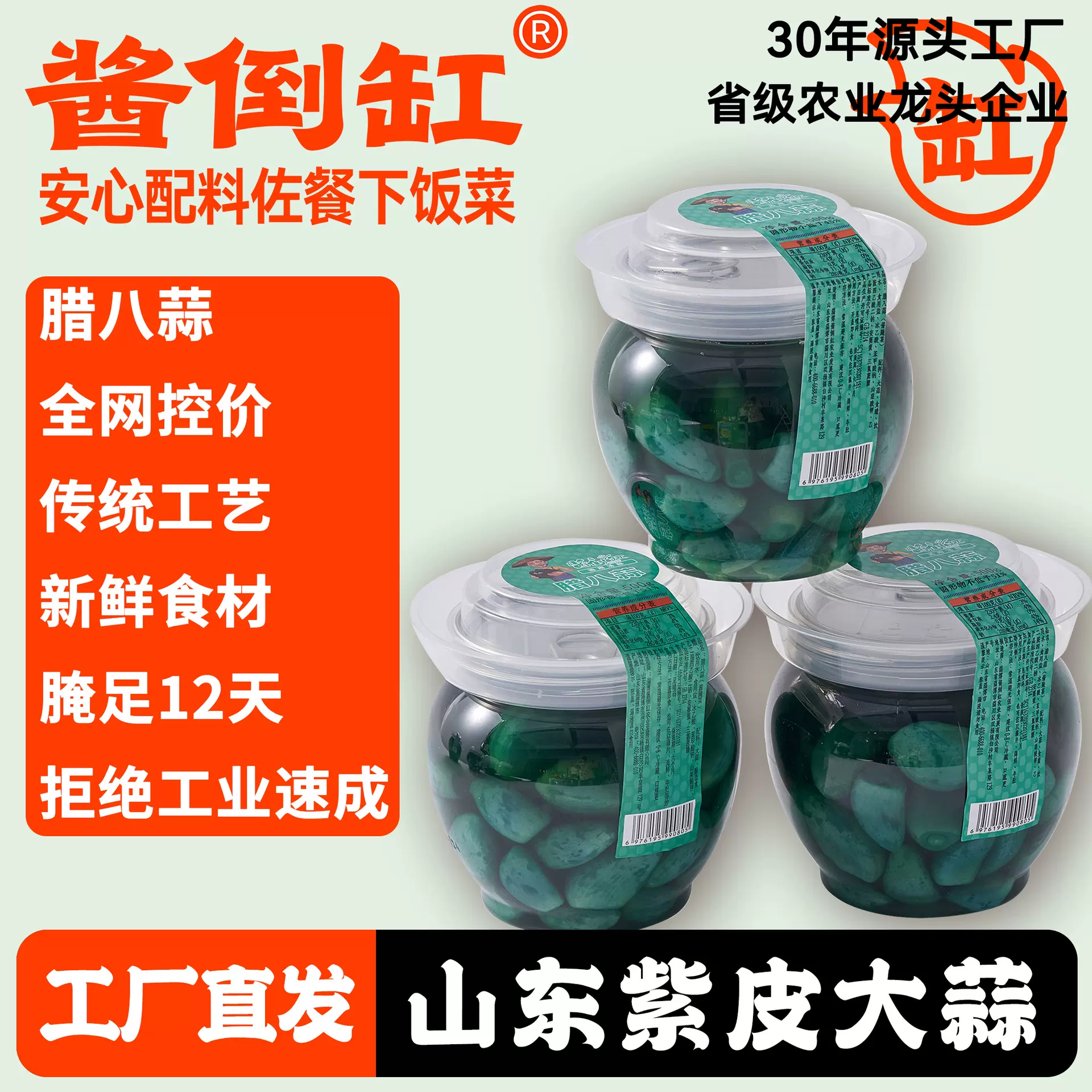 酱倒缸淄博特色翡翠腊八蒜爽口泡菜下饭菜糖醋蒜500g瓶装工厂直发