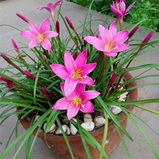 �ļ��_���ذ��L���m�N���[�m���mͥԺ�̨���Ի����͟��ͺ��ͺ�