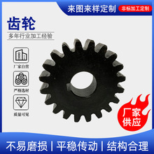 厂家生产批发直齿轮不锈钢传动齿轮金属圆柱直齿齿轮工业传动齿轮