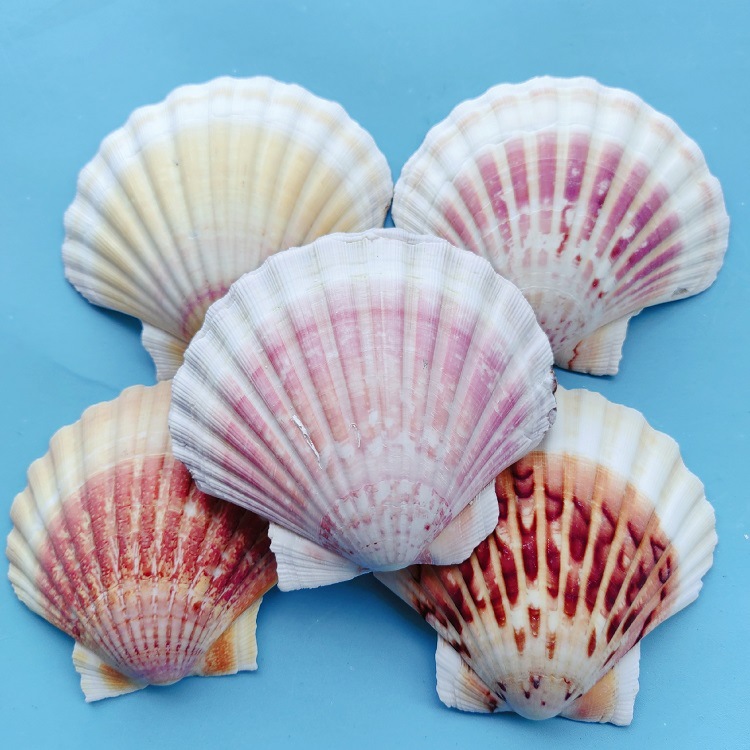 MTXX_20240319_144753693