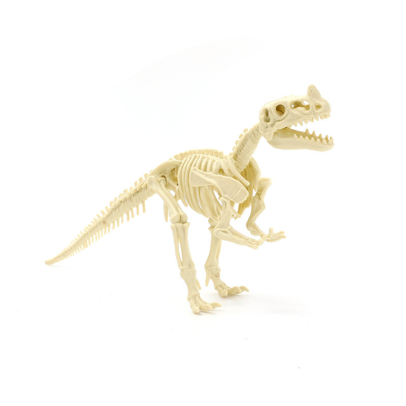 スケルトン恐竜ノジロサウルスおもちゃ組み立てスケルトンモデル子供組み立て知能開発 DIY 教材セット|undefined