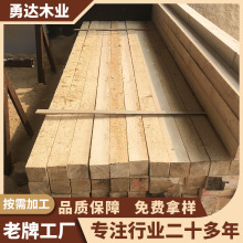 �����Fɼľ�����l��ľľ�l��ľ�lľ���Ǵ���ľ��Ƭľ�l��ľľ��S