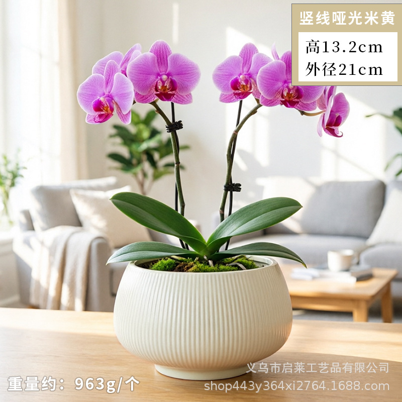 Cerámica orquídea mariposa maceta especial ins crema viento alto sentido decoración del hogar verde cerámica maceta grande image 26