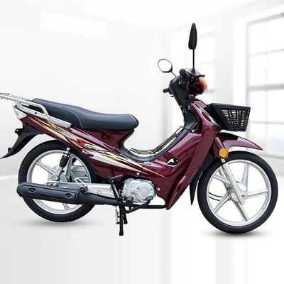 ZhuFeng brand curved beam scooter 48CC-110CC moped motorcycle for delivery (Motosikletlər)