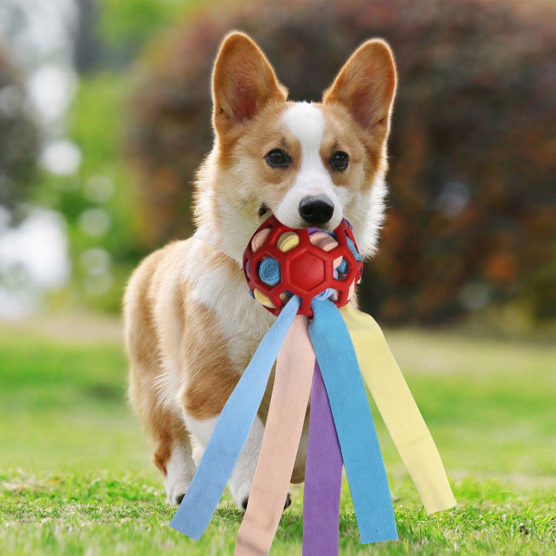 Haustierspielzeug, Schnüffelbälle für Haustiere, Blindbox für das interaktive Training mit Futterleckage für Hunde_voghion.com