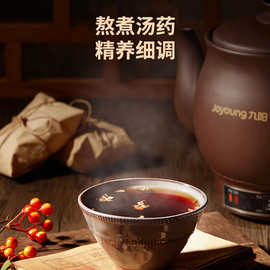 适用九.阳DG30Z-GD111煎药壶中药锅煎药锅熬药电砂锅中药养生壶紫