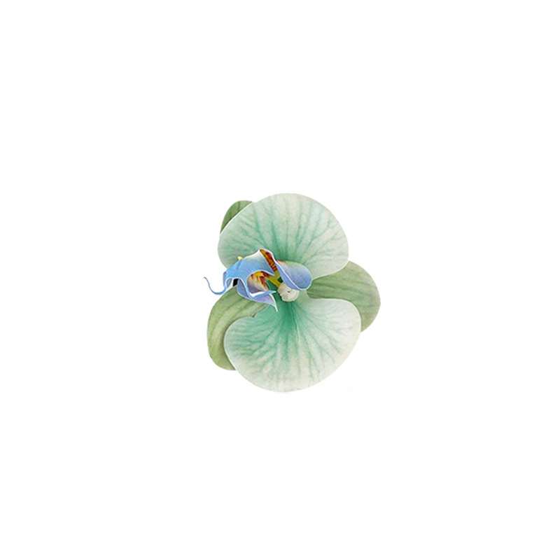 Butterfly Blue Edge clip para mujeres 2025 nuevo estilo de alto nivel flor lateral frange clip de pelo frente al mar clip de boca de pato clip de pelo toque