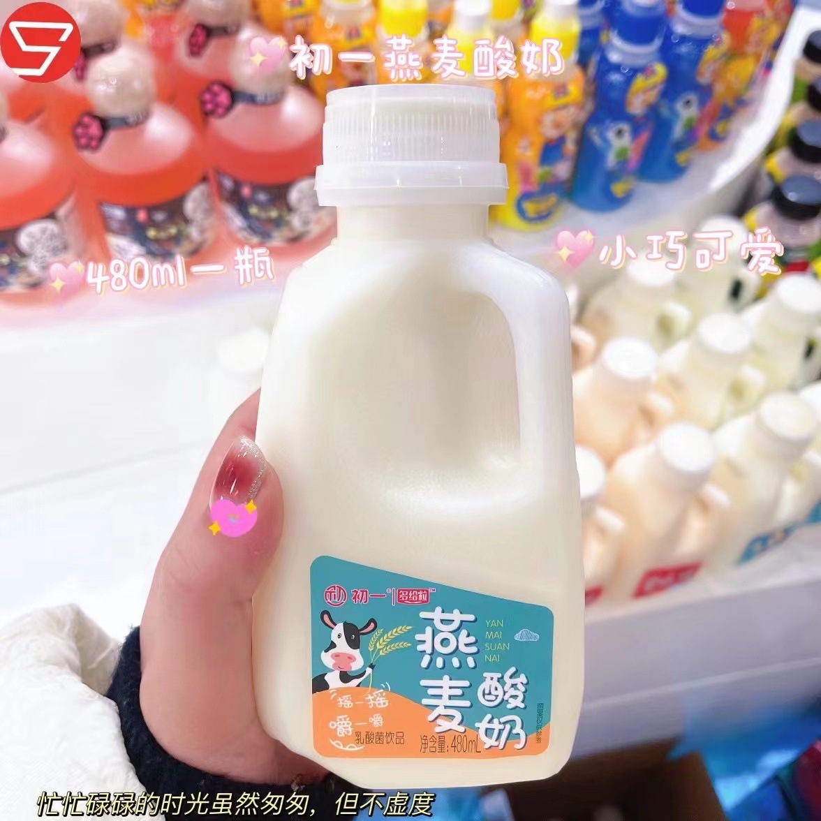 初一燕麦酸奶甜牛奶AD钙乳酸菌杨枝甘露椰子味菠萝味芒果味480ML