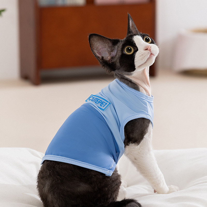 Gato primavera verano transpirable estilo fino contraste costura simple chaleco perro peluche bichón ropa de oso mascota ropa de gato