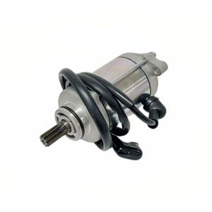 5051D000Yb Motosiklet Starter Mühərrik ATV Stels Luipaard 600 üçün