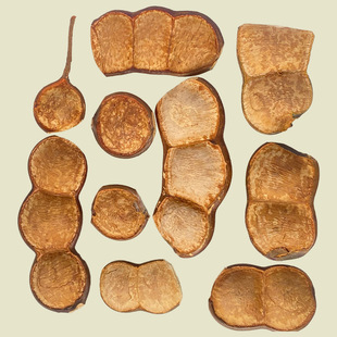 ���}�ٶ��vDIY���ϰ�������^����ƽ������ϴ��v���l�ֹ����