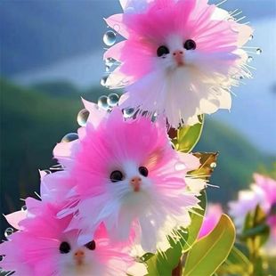 Hot selling big flower face cat orchid full house fragrance fragrant new potted plant shape cute fragrance in addition to formaldehyde