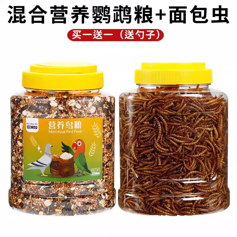 앵무새 먹이 + 거저리