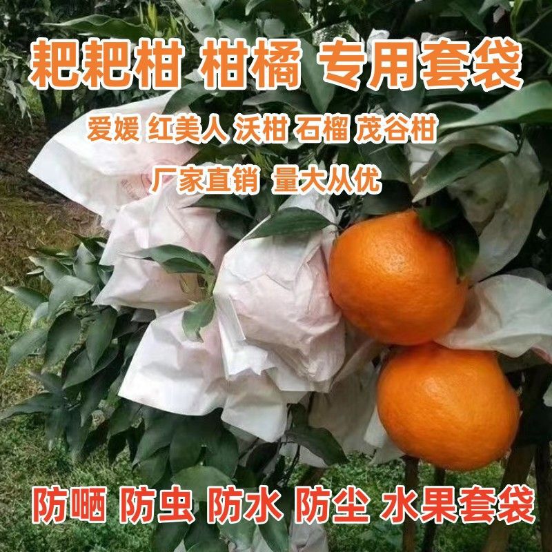 代かき専用袋愛媛紅美人柑橘春見袋臍橙ザクロ果物紙袋防水防虫|undefined