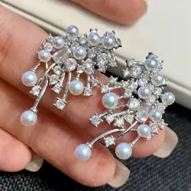 项链;耳环;耳钉