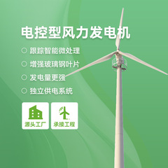水平軸風力発電機小型永久磁石発電機家庭用街灯システム風景相補発電機メーカー