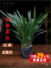 mī~ˮ߅īmצ۷mޥm^pGֲ