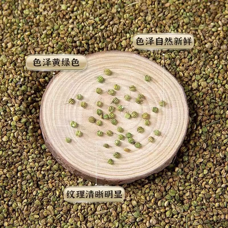 Dill Seed (Anethum graveolens) — Whole Dried Spice for Cooking & Sachets quality and texture