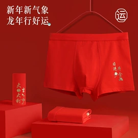 女士三角裤;男士平角裤;女士大码内裤