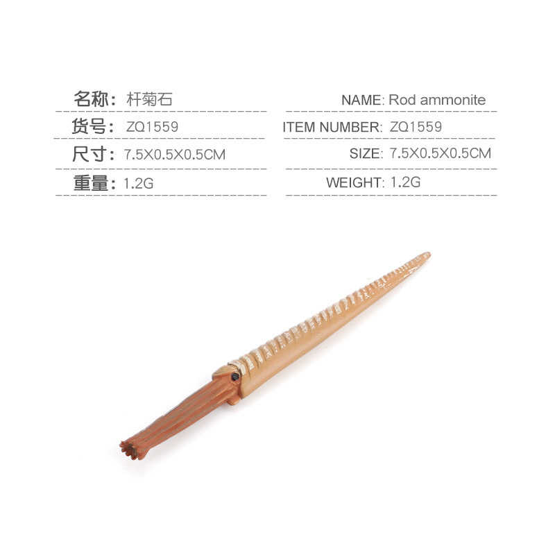 Simulación océano antiguo modelo biológico pescado de Deng loro tornillo crisantemo piedra decoración juguete transfronterizo Amazon