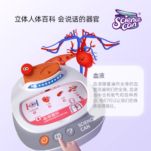 Scientific Canned Human Anatomy Model Organs Detachable Children's Teaching Toy Our Body Speech Encyclopedia
