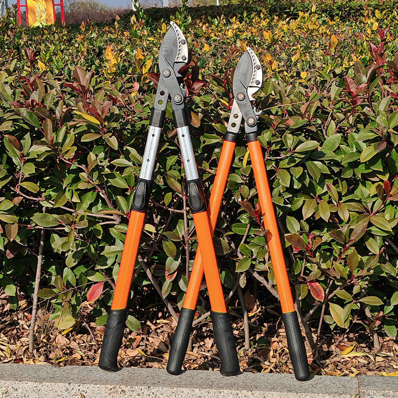 Tijeras de poda de árboles frutales de jardín, ramas de gran altitud, ramas gruesas, cizallas telescópicas, cizallas fuertes reforzadas, engranajes, cizallas gruesas vigorosas
