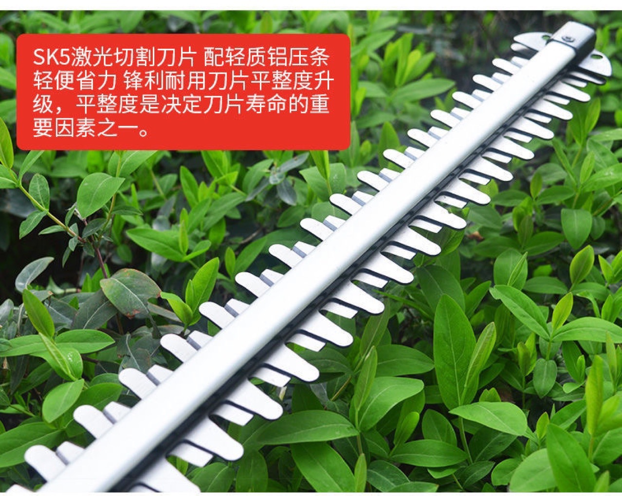 O1CN01FacsFk2IrlxsDQZM5_!!3596