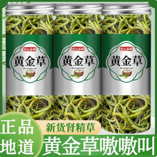 特级野生肾精草500g包邮嗷嗷叫长白山男人黄金草固肾养精化石草叶