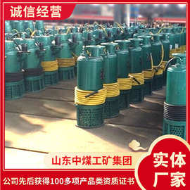 BQS矿用隔爆潜水泵厂家批发BQS矿用隔爆潜水泵操作隔爆潜水泵
