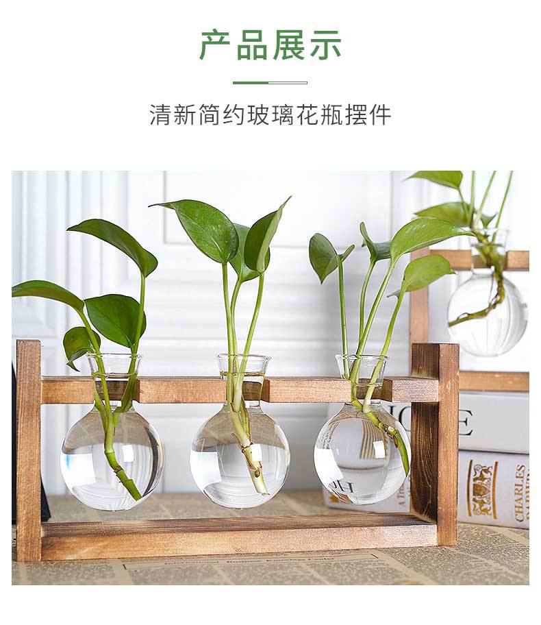 水培_06.jpg