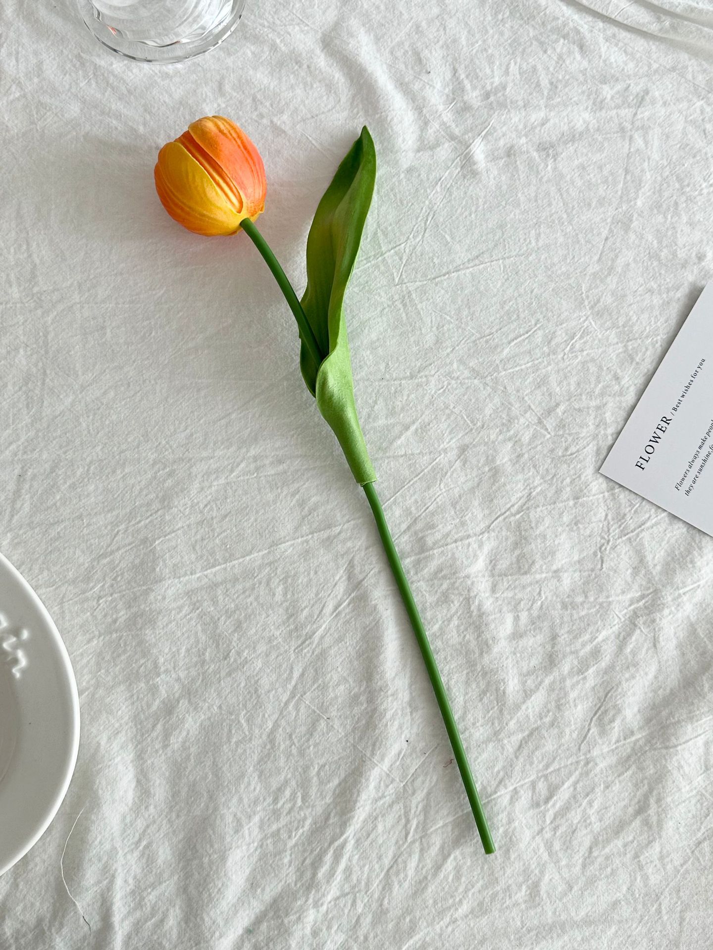 오렌지 싱글 튤립