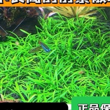 �~���쾰ǰ�����wˮ��ǰ�� ���㽷�� ���㽷 ���򽷲�