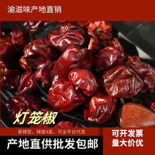 辣椒大全海椒漫天星贵州灯笼椒二荆条魔鬼椒印度椒天鹰小椒