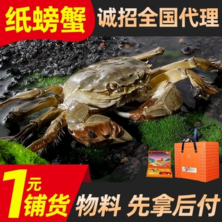 苏州阳澄大闸蟹源头工厂可溯源 诚招渠道代理 一元铺货 先货后款