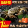 苏州诚招源头一元大闸蟹