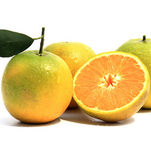 湖北秭归夏橙秭归脐橙新鲜水果应季水果当季水果手剥橙榨汁脐橙甜