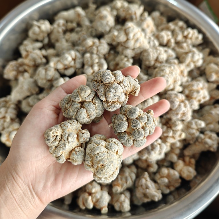 San Qi Notoginseng Root Whole Dried Tian Qi 500g for Soup and Decoction overview