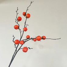 12�^Ұ���ӷ��滨���ӹ���֦��������ٻ��ҾӔ[���͏dܛ�b�Ʒ��