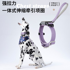 一体式自動牽引首輪を着用しています。