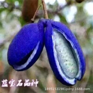 �Ϲ�2̖���¹������Ե�����ɫ����ը ���۹Ϲ��箔��Y���������