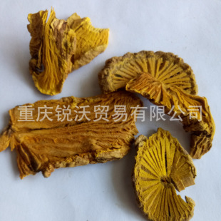 1000�����lɢ�b���S�B�S���S�B�������ɽ�������i�״��S����Ƭ