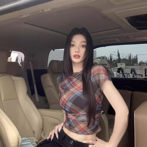 Vintage Gingham Crew Neck Short Sleeve Square Shoulder T-Shirt for Women - Summer 2024 New Sweet and Spicy Style Pleated Tight Fitting Slimming Top